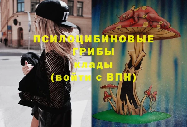 PSILOCYBIN Алексин